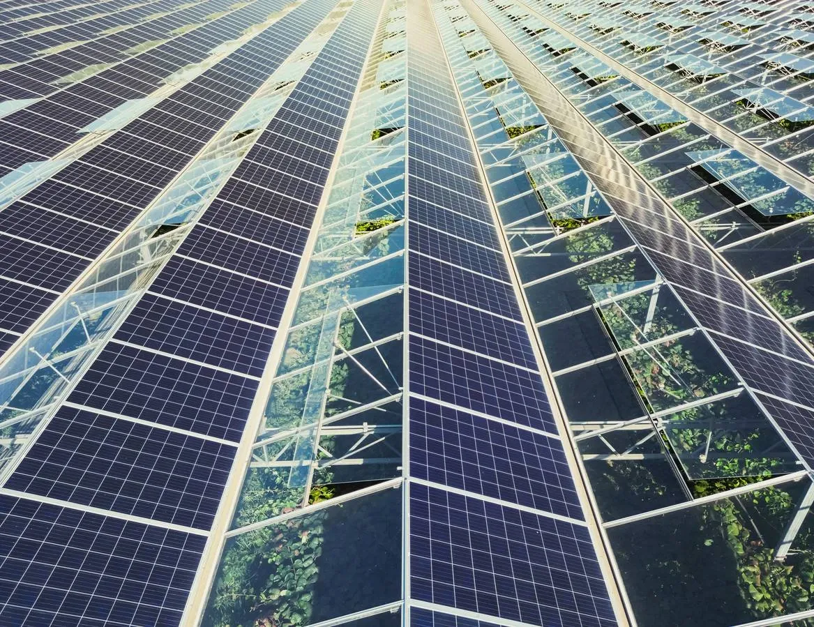 Photovoltaikmodule auf einer landwirtschaftlich genutzten Gewächshausstruktur