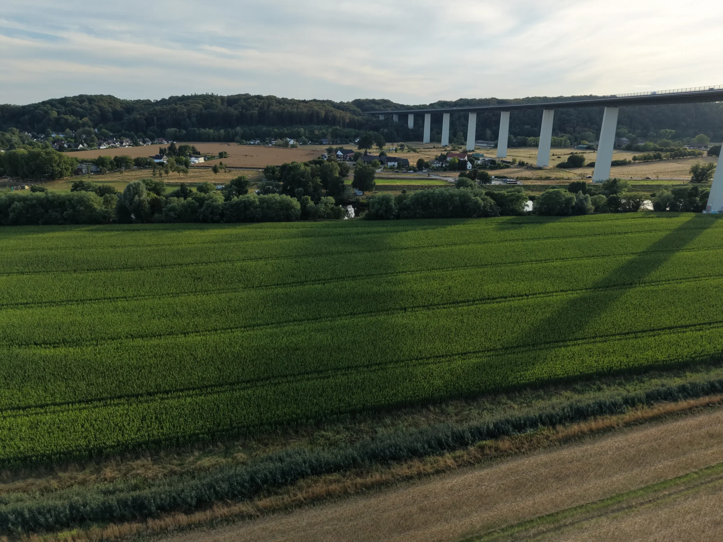 Grüne landwirtschaftliche Flächen in einer gewachsenen Kulturlandschaft