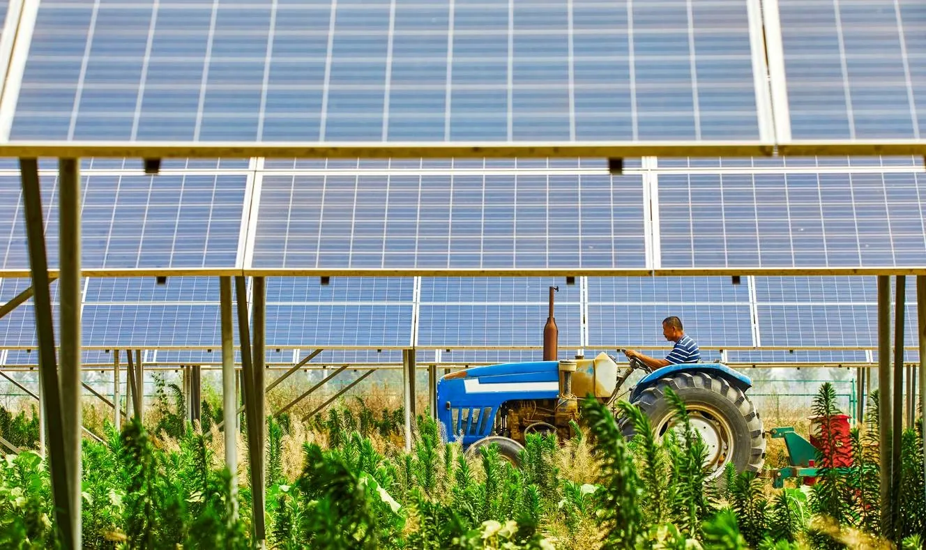 Landwirtschaftliche Arbeit unter Photovoltaikmodulen